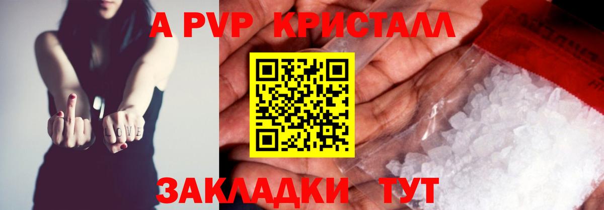 A PVP СК КРИС Новочеркасск