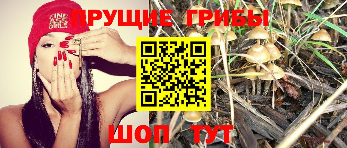 Новочеркасск  Галлюциногенные грибы GOLDEN TEACHER  Вход с VPN 